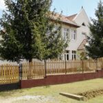 Mezőcsokonya01